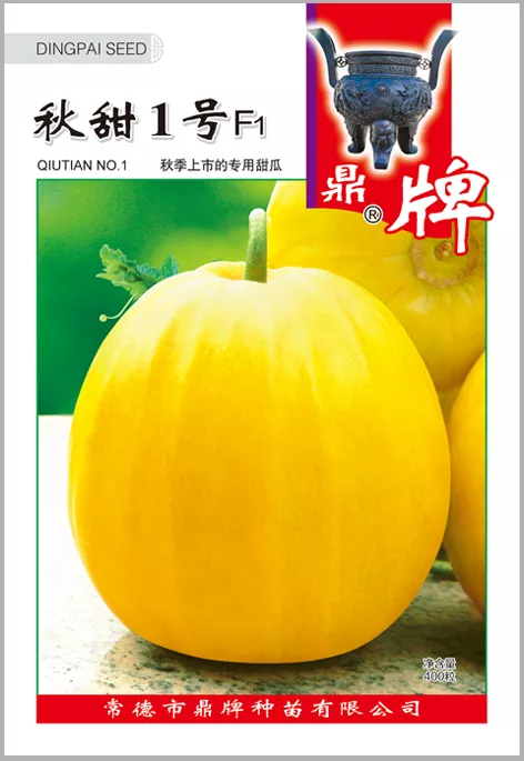 高溫季節(jié)種植甜瓜，什么品種最好？這個品種是秋季上市的專用品種