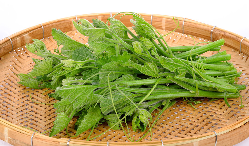 種這種綠葉菜，栽培輕松，畝產(chǎn)值過萬元，菜農(nóng)表示很劃算