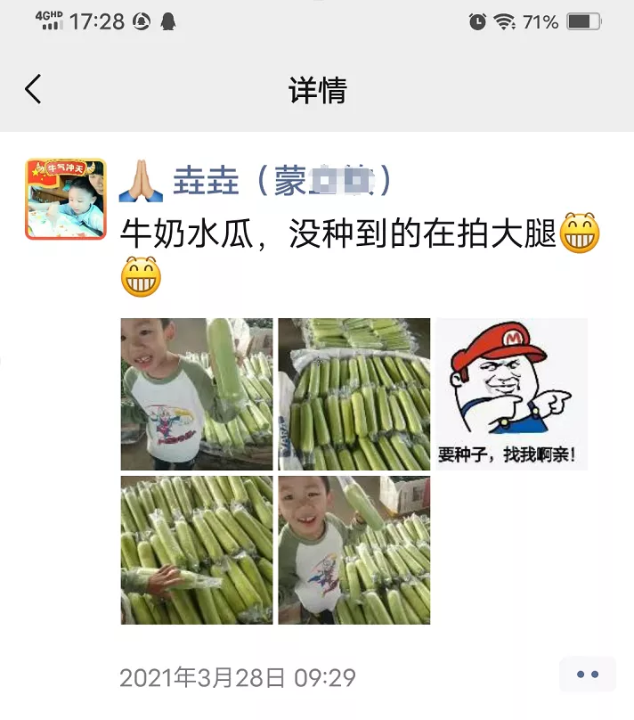 這個絲瓜每畝能掙3萬，沒種植的農(nóng)戶后悔得拍大腿